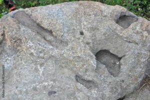 Taureana di Palmi